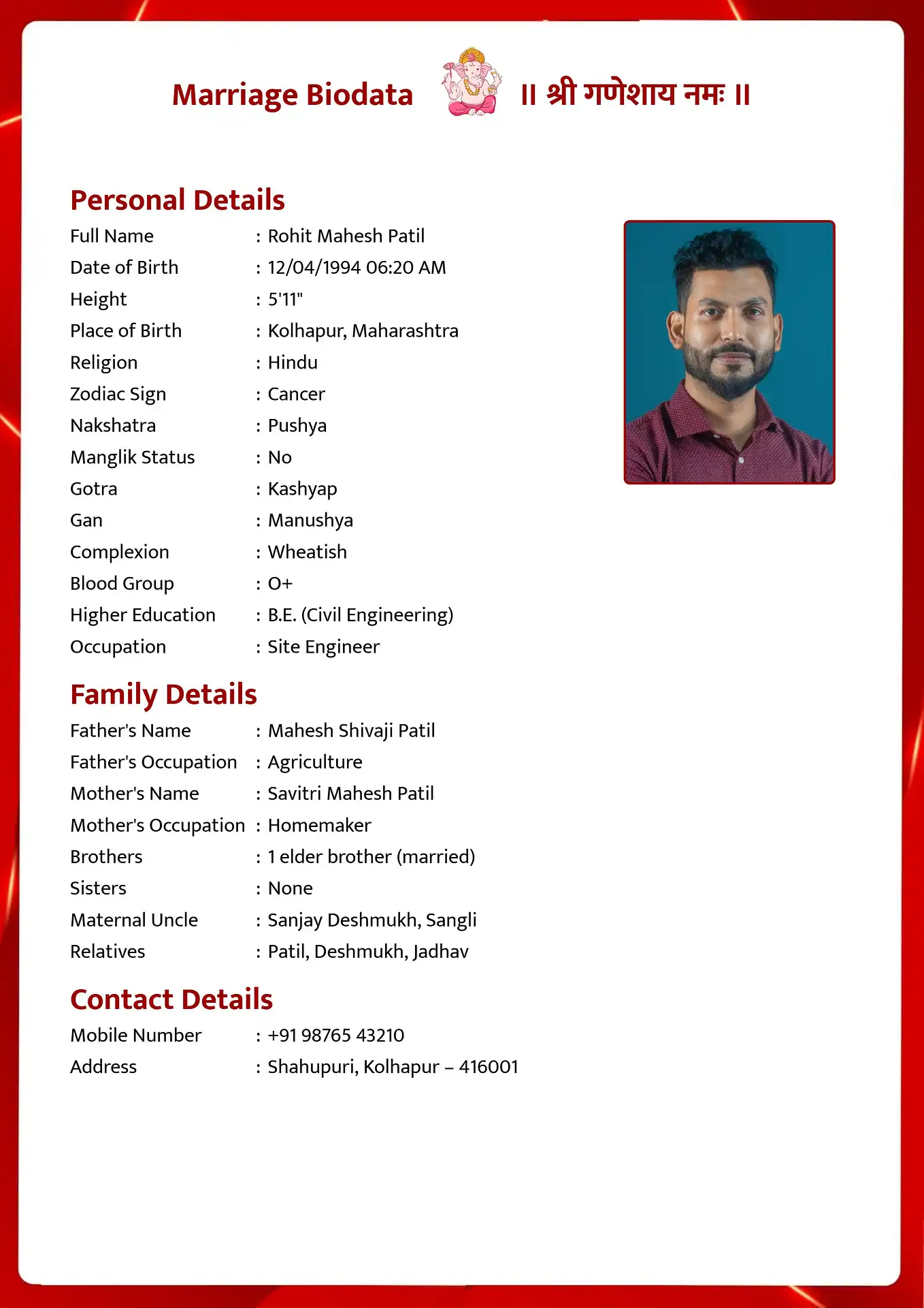 Template 3 biodata template