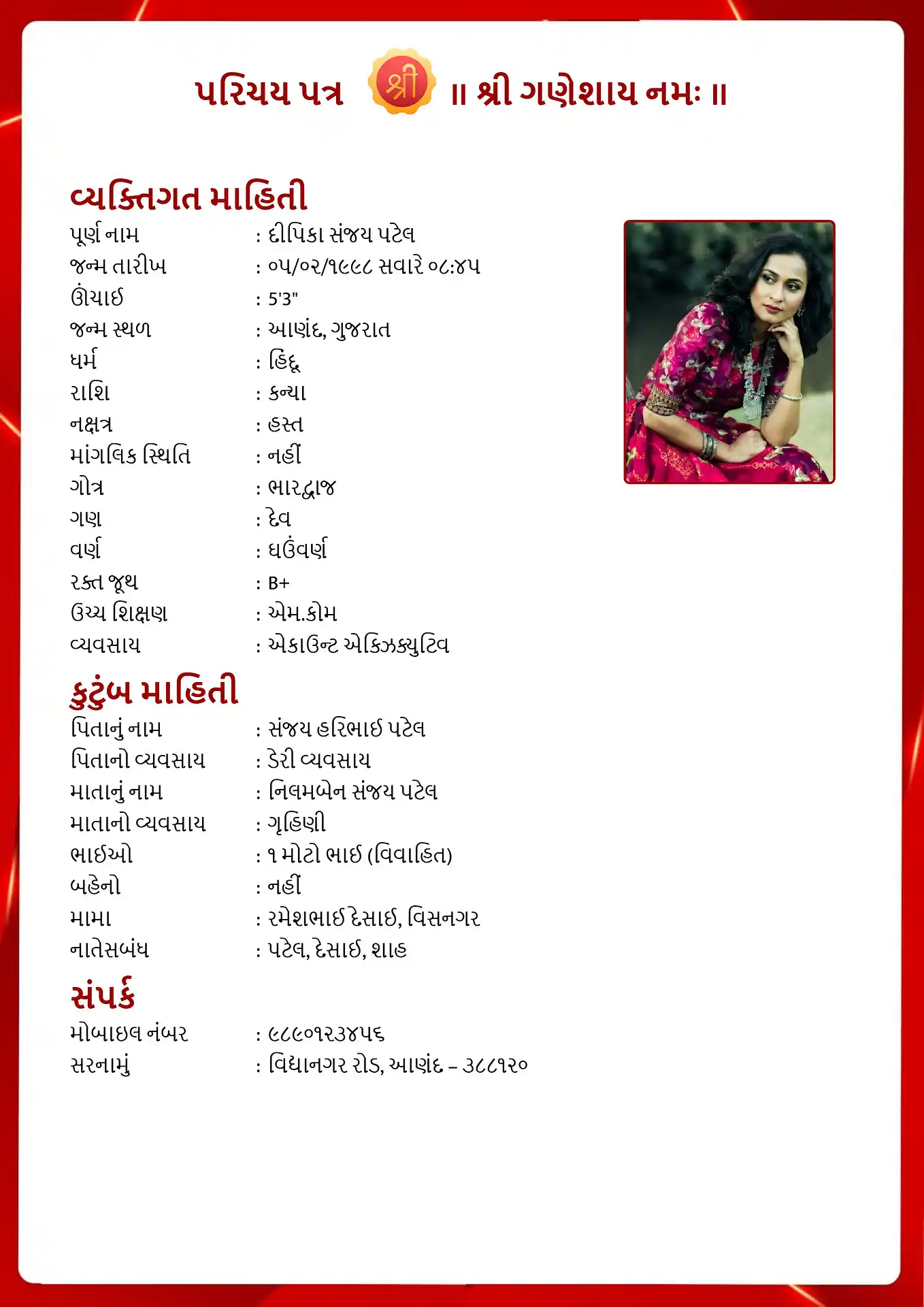 Template 2 biodata template